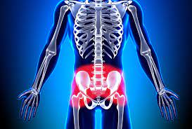 Lower Back and Hip Pain